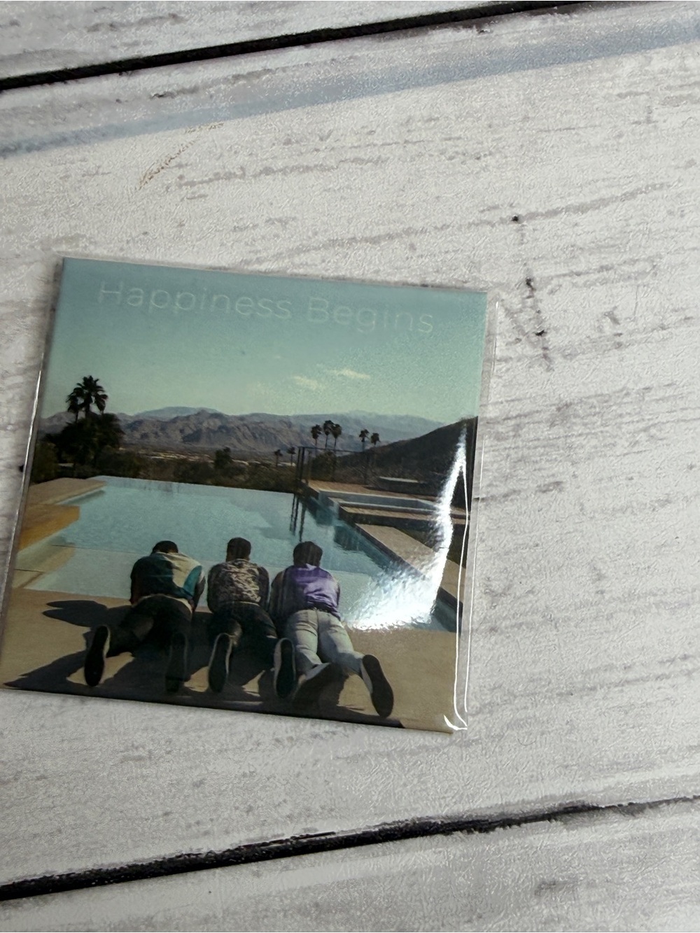 Sucker (Jonas Brothers) mini brands vinyl
